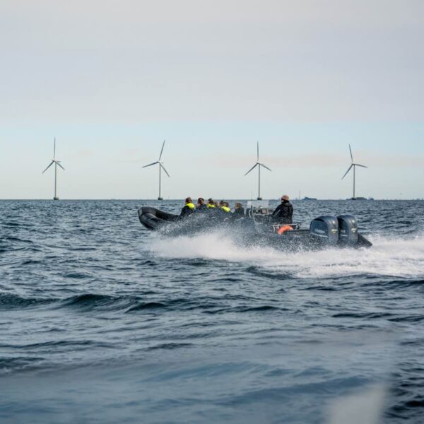 RIB Tur på Øresund