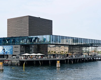 Sanders Leaves - Pleasant Four-Bedroom Apartment In Downtown Copenhagen