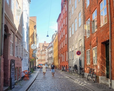 Sanders Leaves - Charming Three-Bedroom Apartment In Downtown Copenhagen